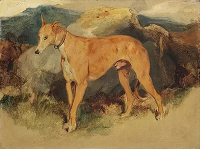 A Deerhound Edwin Henry Landseer